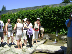 DSC06471.JPG