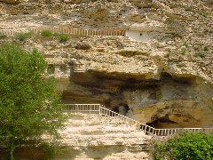 DSC02331.JPG