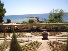 imag0045.jpg